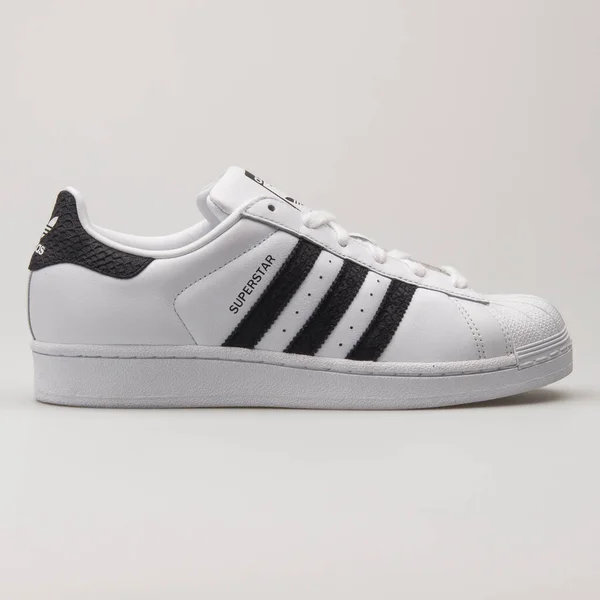 Vienna Ausztria August 2018 Adidas Superstar Fehér Fekete Tornacipő Fehér — Stock Fotó