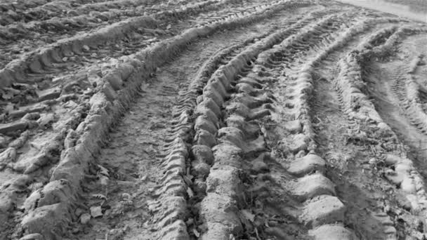 Traktor Tiefe Spur Spuren Monochromen Zeitlupe Landwirtschaftliche Aufnahmen — Stockvideo