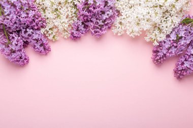 Pembe arka planda leylak dalları. Beyaz ve mor leylak. Romantik bahar havası. Üst Manzara. Metnin için kopyala