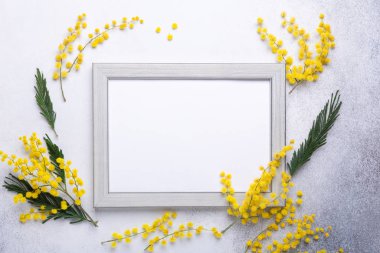 Paskalya dekoru, mimoza çiçekleri ve taş kaplamalı çerçeve. Gri çerçeveli bir model. Üst Manzara. Boşluğu kopyala