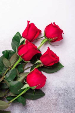 Kırmızı güller arka planda. Sevgililer Günü tebrik kartı. Üst Manzara. Boşluğu kopyala