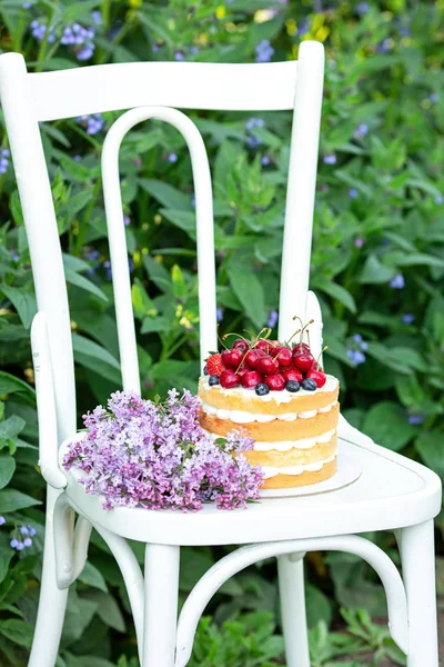 Homemade summer biscuit cake with cream and fresh berries in woman hands In the garden Lilac Soft focus