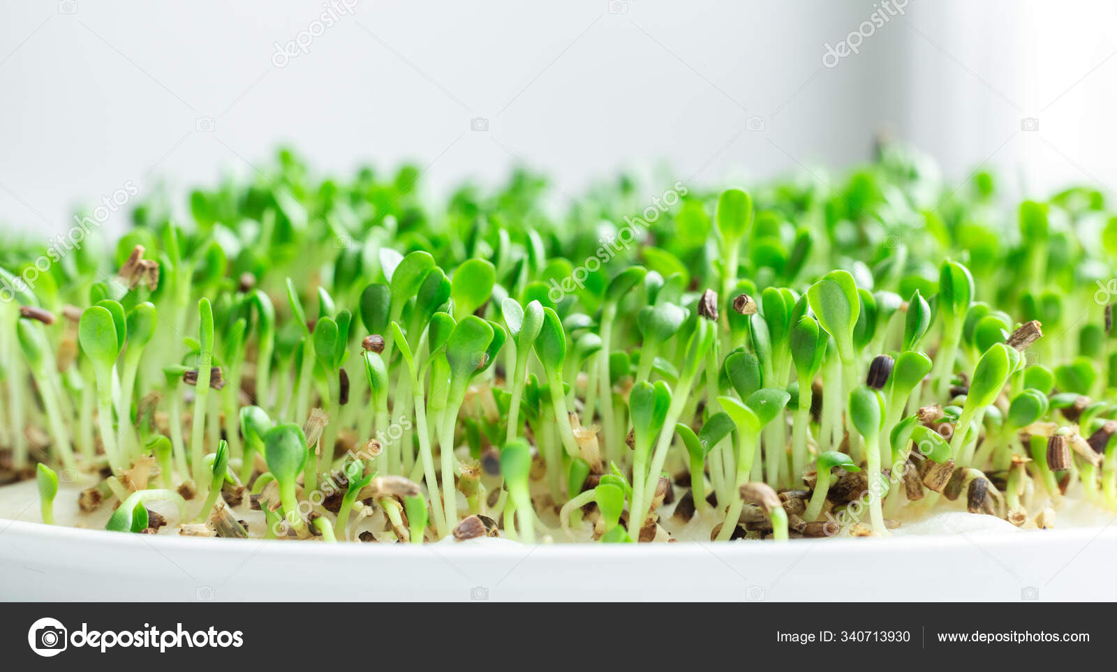 Https Ru Depositphotos Com 340713716 Stock Photo Empty Glass Teapot Black Background Html Https St3 Depositphotos Com 6805280 34071 I 1600 Depositphotos 340713716 Stock Photo Empty Glass Teapot Black Background Jpg Pustoj Stakan Chajnik