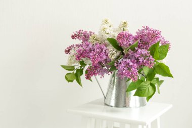 Beyaz arka planda teneke sürahide bir demet leylak. Metnin için boşluk ile - Resim