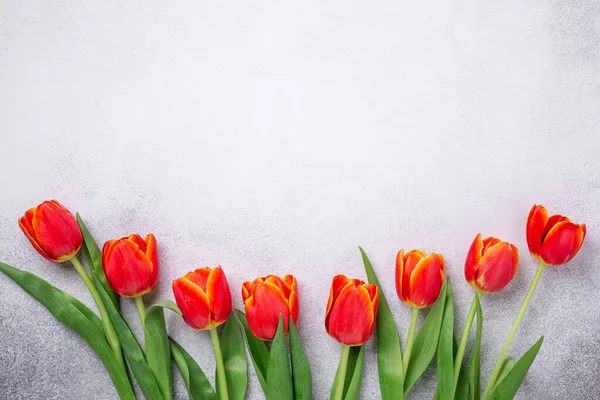 Row of red tulips on light stone background. Creative flat lay. Top view. Copy space — Stock Photo, Image