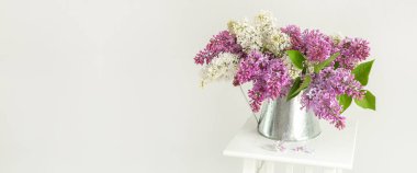 Beyaz arka planda teneke sürahide bir demet leylak. Metnin için alanı olan yatay pankart - Resim