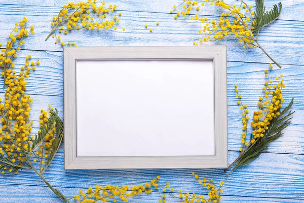 Easter decor with mimosa flowers and frame on blue wooden table. Mockup with a gray frame. Top view. Copy space - Image