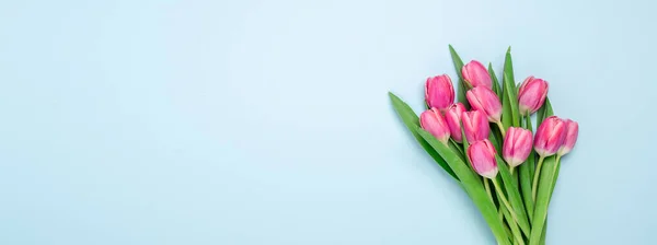 Довгий Горизонтальний Банер Рожевими Тюльпанами Синьому Фоні Вид Зверху Копіювати — стокове фото