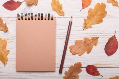 Sonbahar yaprakları, defter ve beyaz ahşap arka planda kalemler. Düz konum, üst görünüm, kopyalama alanı.