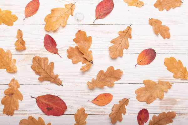 Herfst Bladeren Een Witte Houten Achtergrond Vlakke Lay Bovenaanzicht Kopieerruimte — Stockfoto