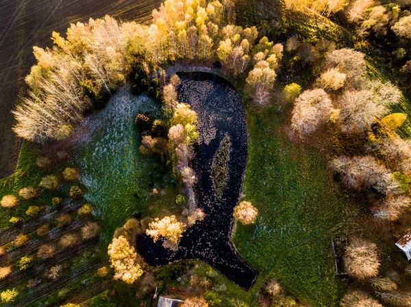 Drone Photography of a Pond Behind the House Surrounded with Bea — Stock Photo, Image