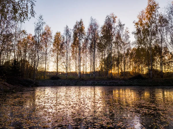 Fotografie ze zamrzlého jezera v podzimní den — Stock fotografie