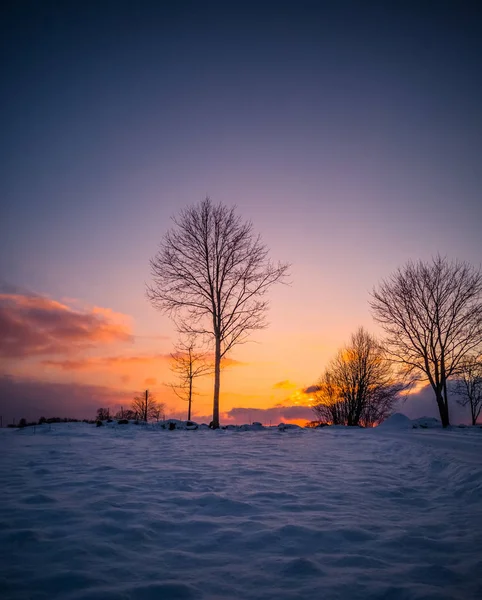 Calm Moody Photo of the Field with the Forest on it and the Beautiful Sunset with Clear Orange and Red and Magenta Skies in the Background