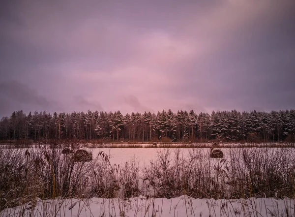 Calm Moody Photo Field Forest Beautiful Sunset Clear Orange Red — Stock Photo, Image