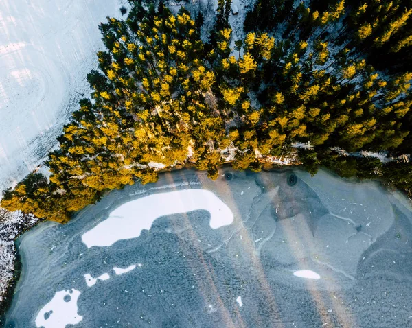 Fotografía aérea de un bosque en invierno — Foto de Stock