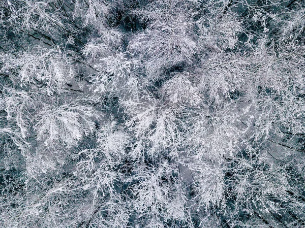 Bulutlu Kış Günü Yukarıdan Aşağı Tüm Ağaçlar Kaplı Karda Görünümüyle — Stok fotoğraf