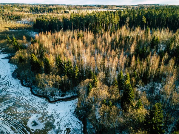 Аэрофотосъемка леса зимой — стоковое фото