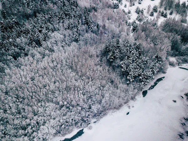 Fotografia aerea di una foresta e lago ghiacciato in inverno — Foto Stock