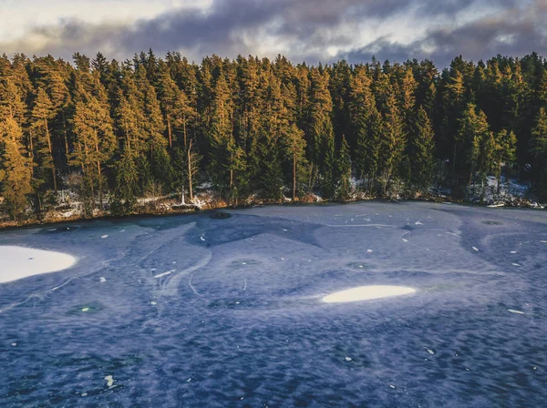 Fotografía aérea de un bosque en invierno - vintage look edit — Foto de Stock