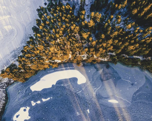 Fotografía aérea de un bosque en invierno - vintage look edit — Foto de Stock