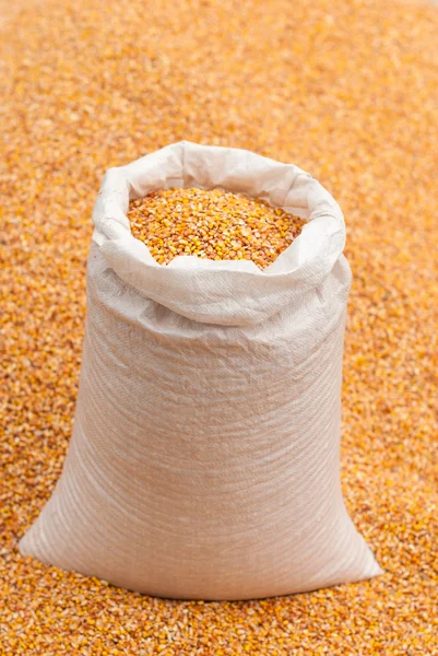 Maïs korrel in een zak. — Stockfoto
