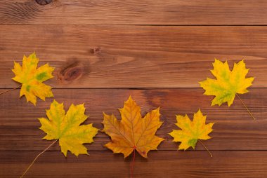 ahşap zemin üzerinde akçaağaç yaprakları.