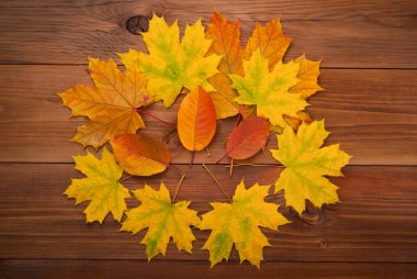 Ahşap arka planda sonbahar yaprakları.