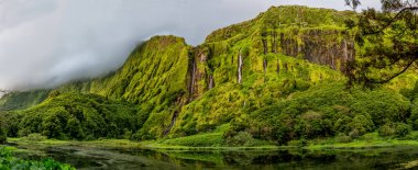 Poo Ribeira yapmak Ferreiro Faj Grande Azores, Portekiz Flores Island üzerinde