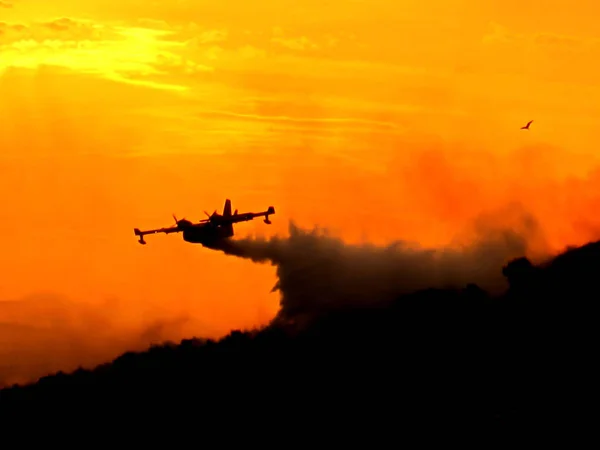 Turuncu gökyüzü Canadair ile erken sabah sahil Hırvatistan yangın söndürmek