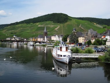 Dock ve yeşil bağ tepenin arka planda beyaz turistik gemi                        