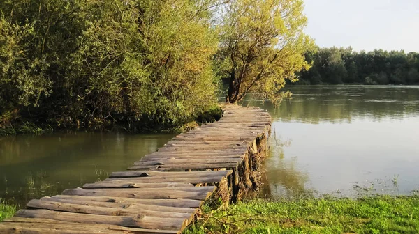 Ξύλινη Γέφυρα Στα Στηρίγματα Γούρνα Μικρό Νησί Του Ποταμού Drave — Φωτογραφία Αρχείου