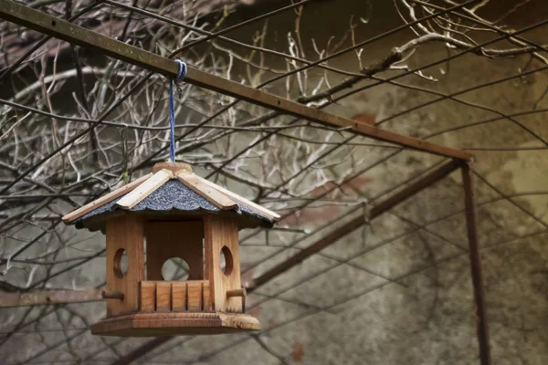 Casa Pássaro Madeira Pendurada Rede Aço Sob Ramo Rosa Outono — Fotografia de Stock