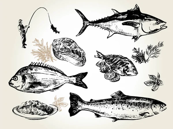 Jeu de poissons dessiné — Image vectorielle