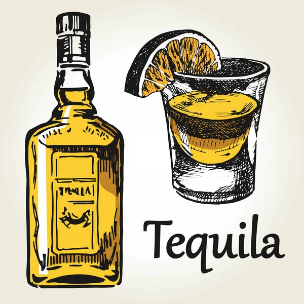 Tequila instellen kleur — Stockvector