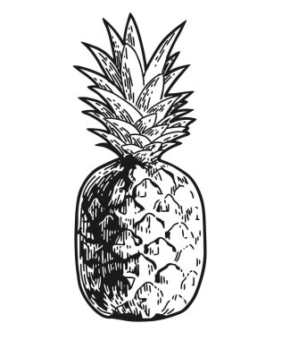 ananas oyulmuş kroki