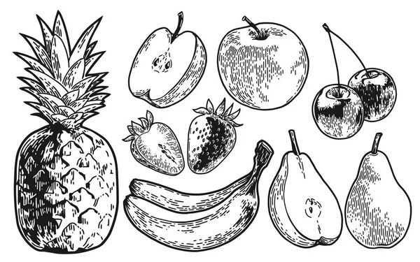 Fruits dessinés — Image vectorielle