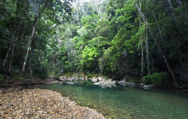 Река Блейден протекает через один из самых биологически разнообразных и нетронутых участков земли в Центральной Америке. Снимок сделан в центре Белиза — стоковое фото