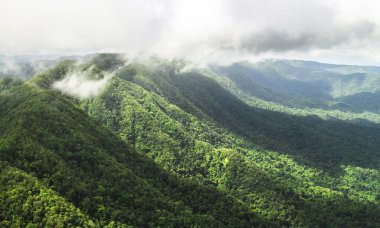 Bozulmamış birincil orman Cockscomb Havzası, Belize hava bu çekimde manzara hakim