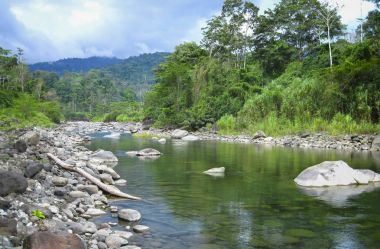 Valle de la Estrella, Limon, Kosta Rika yakınındaki batısında Rio Cariei arama