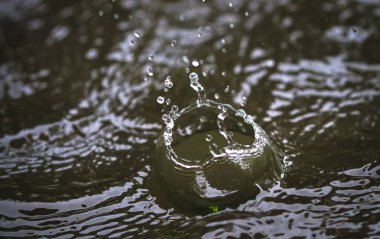 Kosta Rika şiddetli yağışlar sırasında bir gölet üzerinde bir su damlacığı düşüyor