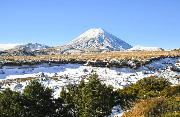 Mt. Ngauruhoe bu bölümünde Tongariro Ulusal Parkı, Yeni Zelanda manzara hakim — Stok fotoğraf