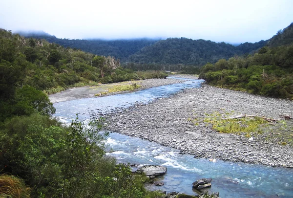 Река Тоароха протекает через район Сидар-Флэтс на южном острове Новой Зеландии. — стоковое фото