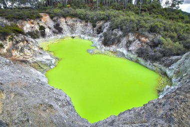 A bright green pool called Devil's Bath, colored by volcanic minerals at the Wai-O-Tapu Thermal Wonderland in New Zealand