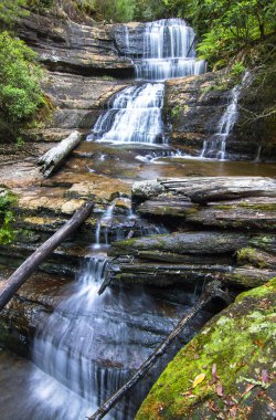 Lady Barron Şelalesi Mt. alan Milli Parkı, Tasmania'deki / daki