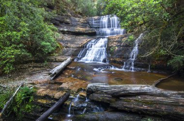 Lady Barron Şelalesi Mt. alan Milli Parkı, Tasmania'deki / daki