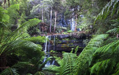 Russell Mt. alan Milli Parkı, Tazmanya düşüyor