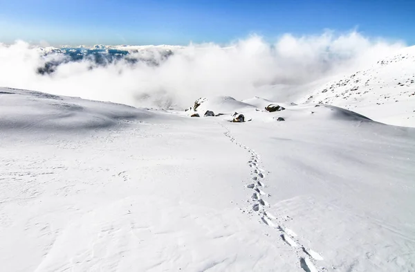 足跡はニュージーランドのルアペフ山の頂上に、雪原に沿ってリードします。 — ストック写真