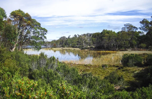 Lake ah chees liegt an einem sehr abgelegenen Ort an den Wänden des jerusalem Nationalparks in Tasmanien — Stockfoto