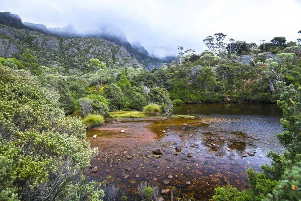 Hinterland des Wiegenberges - Lake st clair Nationalpark, Tasmanien — Stockfoto