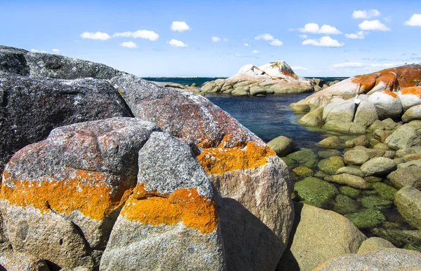 El liquen naranja brillante cubre las rocas justo por encima de la línea de marea alta y da su nombre a la Bahía de los Fuegos. Tasmania, Australia —  Fotos de Stock